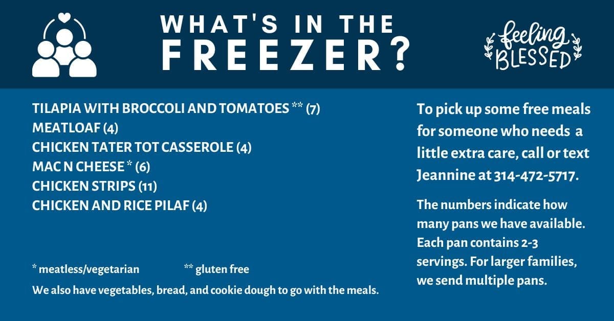 Freezer Meals Available